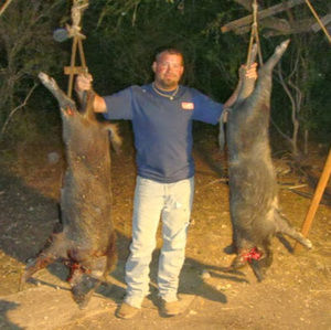 Meet your Posher, Philip